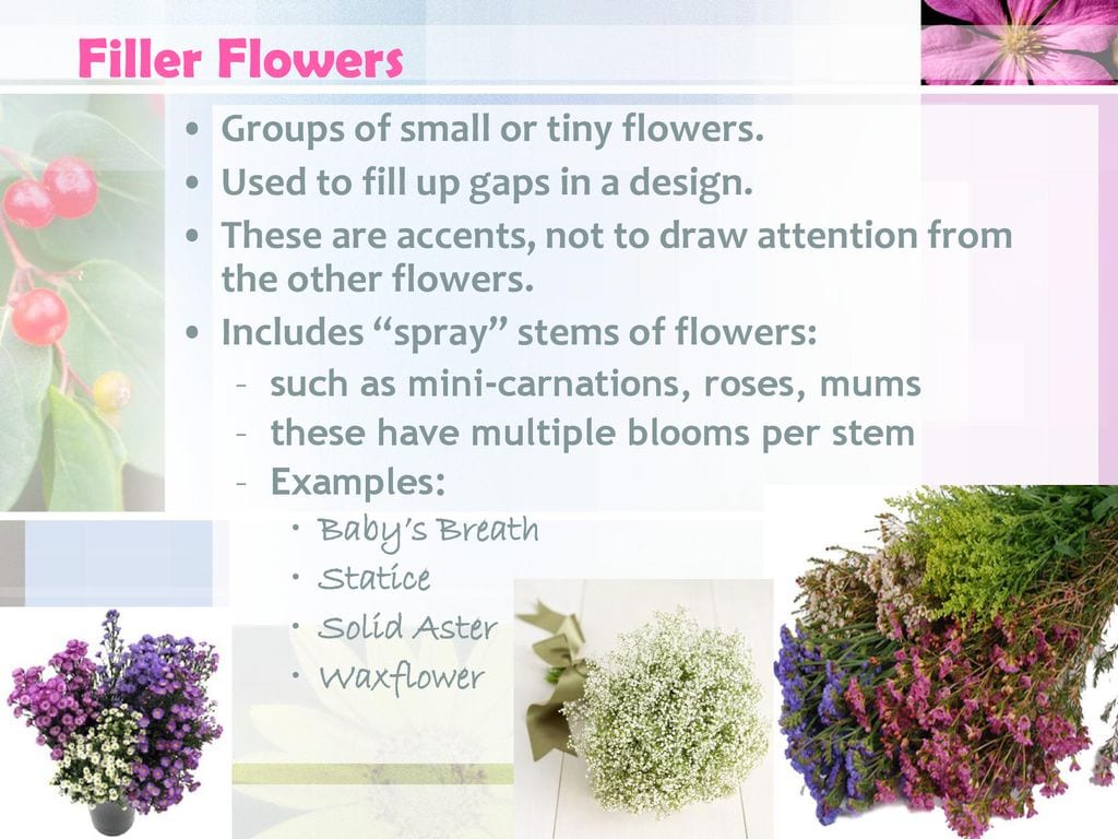Add Filler Flowers